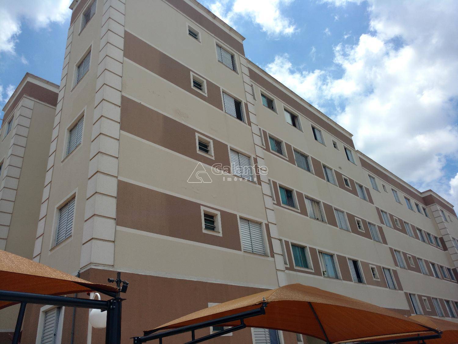 Apartamento em Jardim Nova Europa, Campinas - Apartamento - Jardim Nova Europa - Foto 1