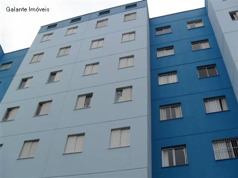 Apartamento em Jardim Paulicéia, Campinas - Apartamento - Jardim Paulicéia - Foto 1