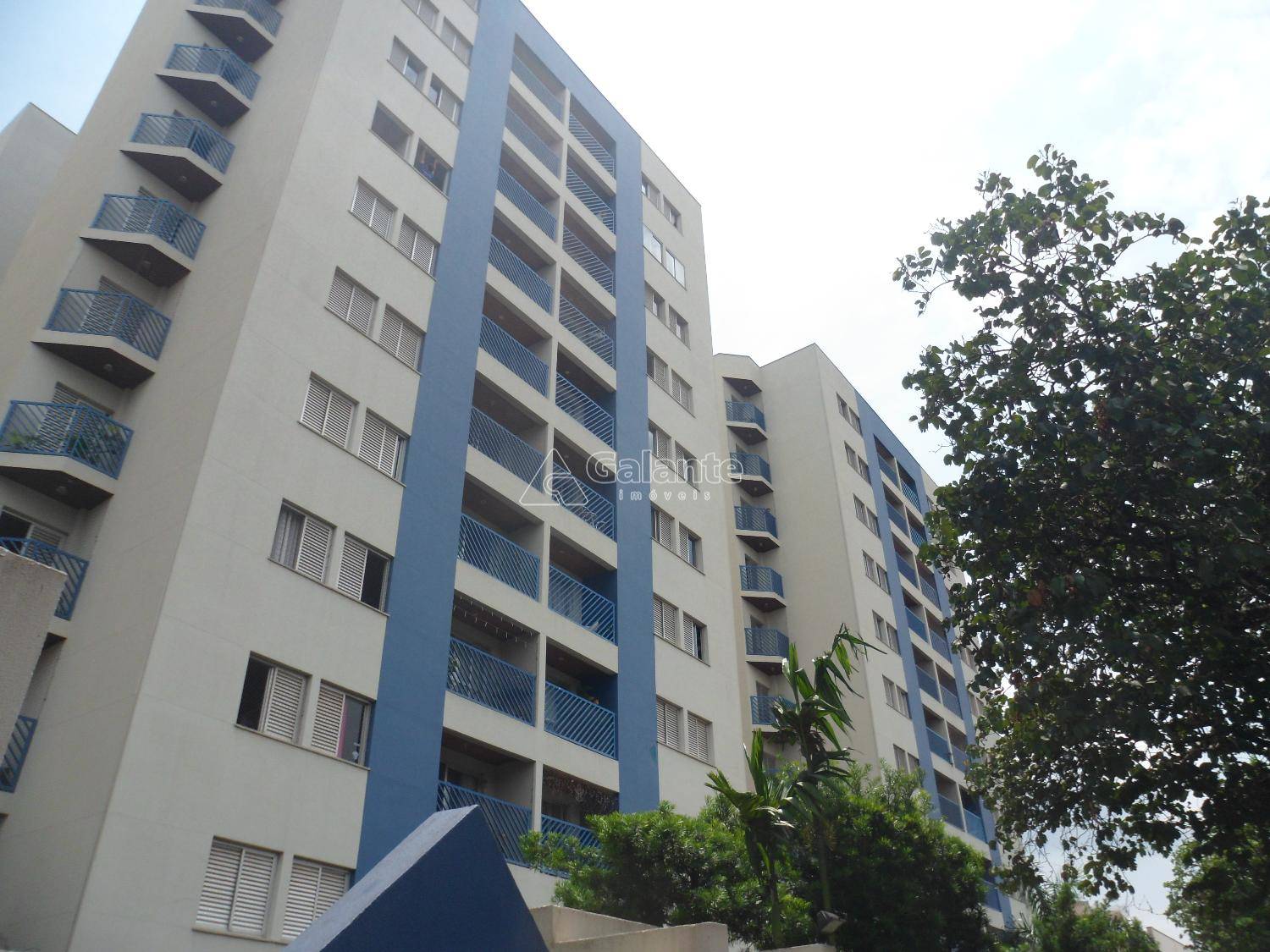 Apartamento em Vila Industrial, Campinas - Apartamento - Vila Industrial - Foto 1