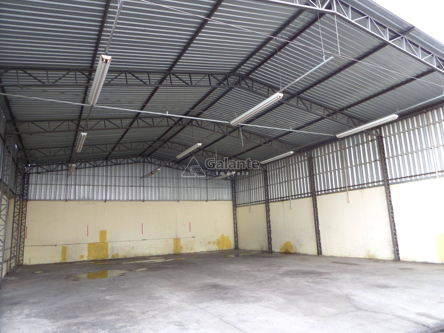 Comercial/Industrial em Vila Mimosa, Campinas - Comercial/Industrial - Vila Mimosa - Foto 8