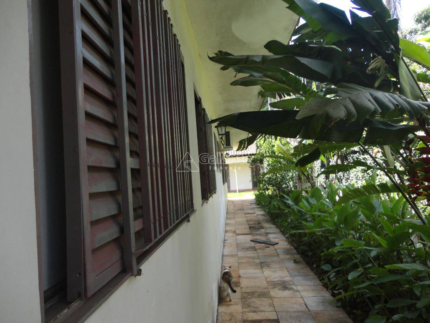 Casa em Parque Taquaral, Campinas - Casa - Parque Taquaral - Foto 11