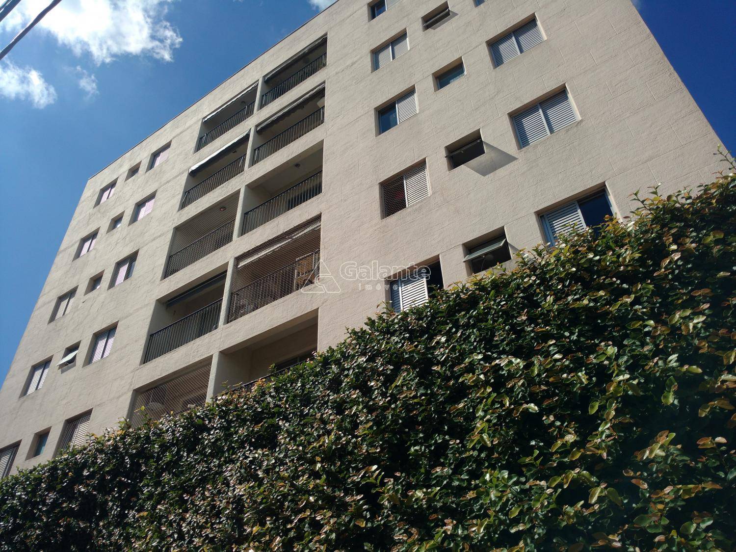 Apartamento em Jardim Bela Vista, Campinas - Apartamento - Jardim Bela Vista - Foto 1