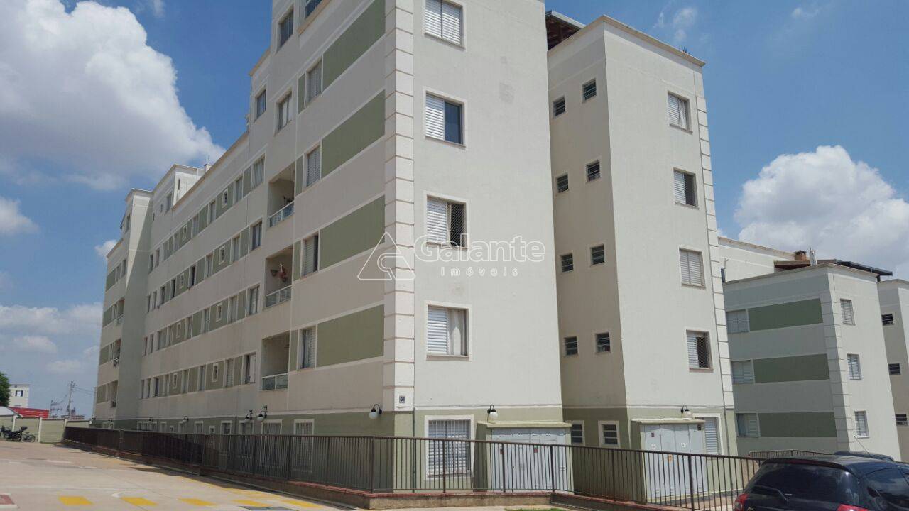 Apartamento em Jardim Nova Europa, Campinas - Apartamento - Jardim Nova Europa - Foto 1