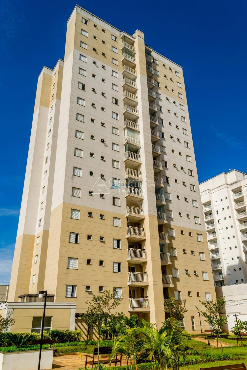 Apartamento em Chácara Primavera, Campinas - Apartamento - Chácara Primavera - Foto 1