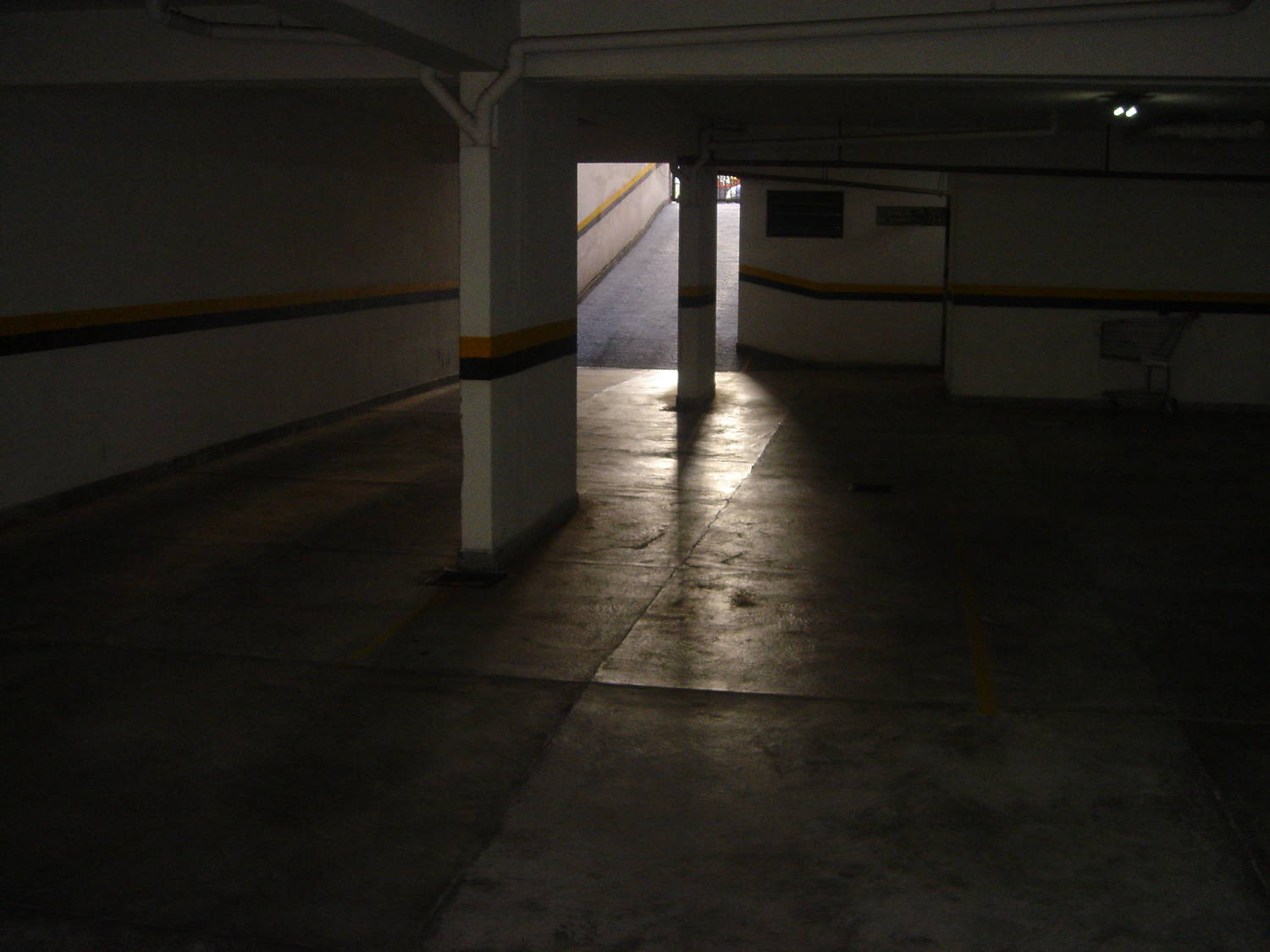 Apartamento em Botafogo, Campinas - Apartamento - Botafogo - Foto 3