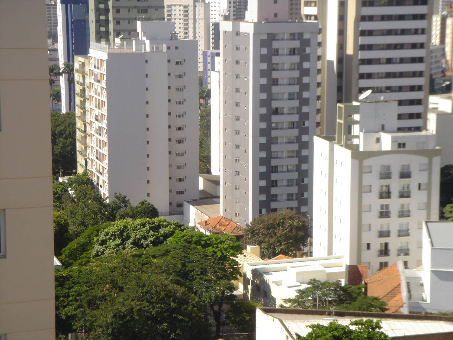 Apartamento em Botafogo, Campinas - Apartamento - Botafogo - Foto 23