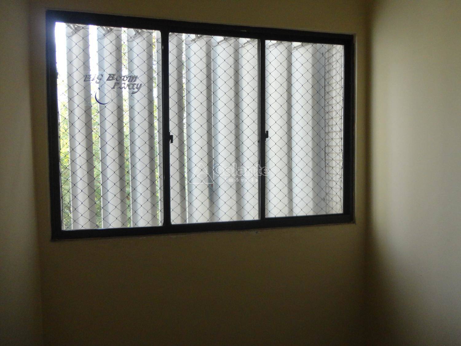 Apartamento em Cambuí, Campinas - Apartamento - Cambuí - Foto 2