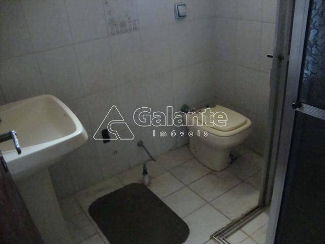 Casa em Vila Joaquim Inácio, Campinas - Casa - Vila Joaquim Inácio - Foto 11
