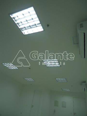 Comercial/Industrial em Centro, Campinas - Comercial/Industrial - Centro - Foto 11