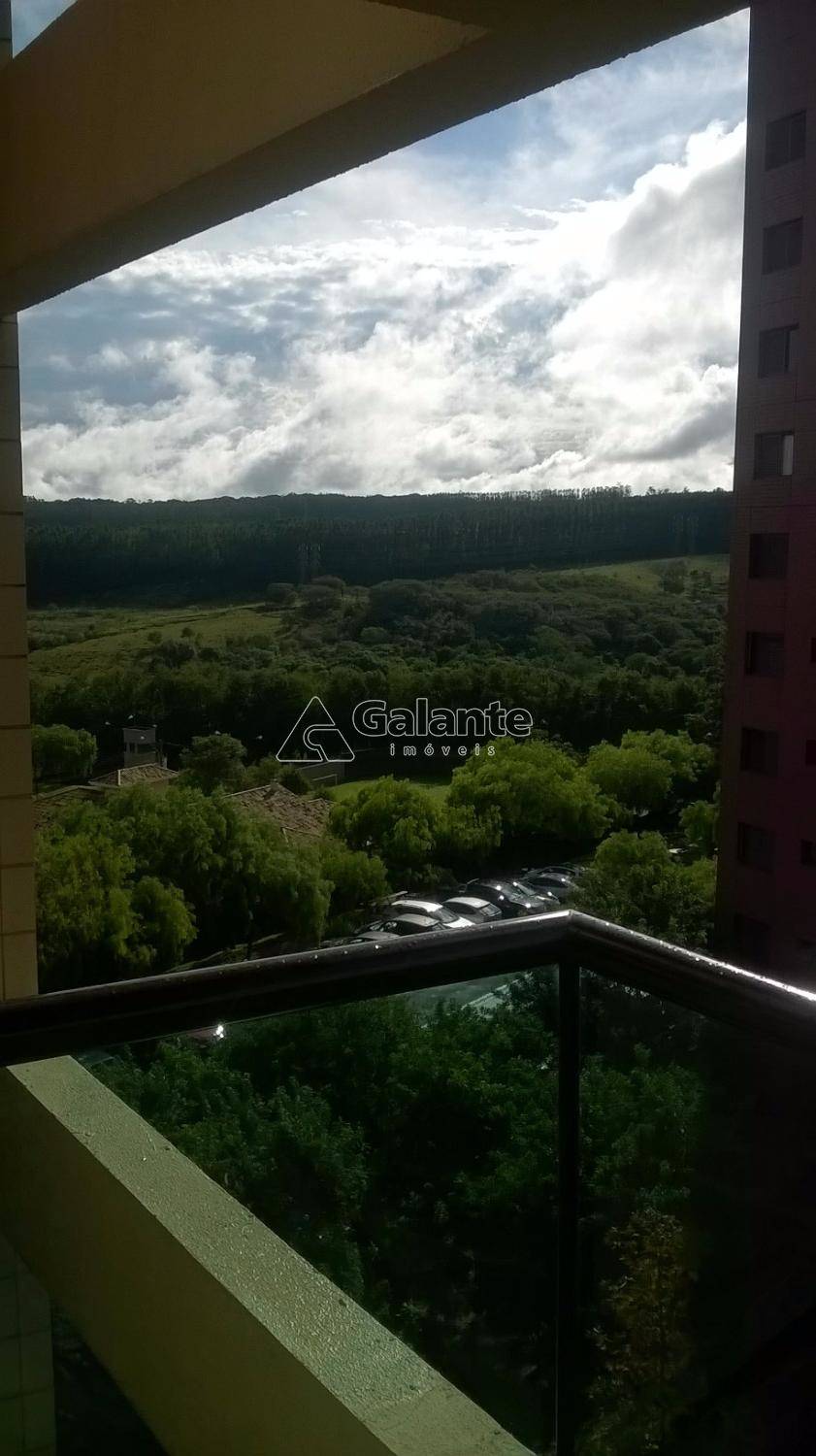 Apartamento em Notre Dame, Campinas - Foto 5