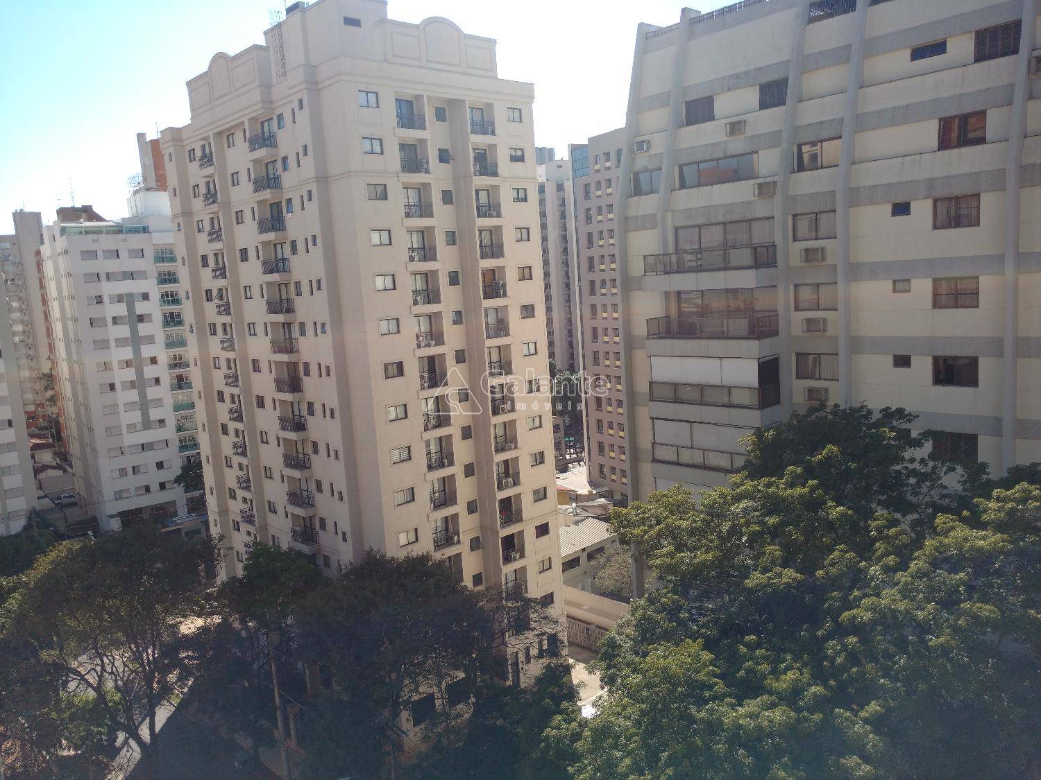 Apartamento em Cambuí, Campinas - Apartamento - Cambuí - Foto 11