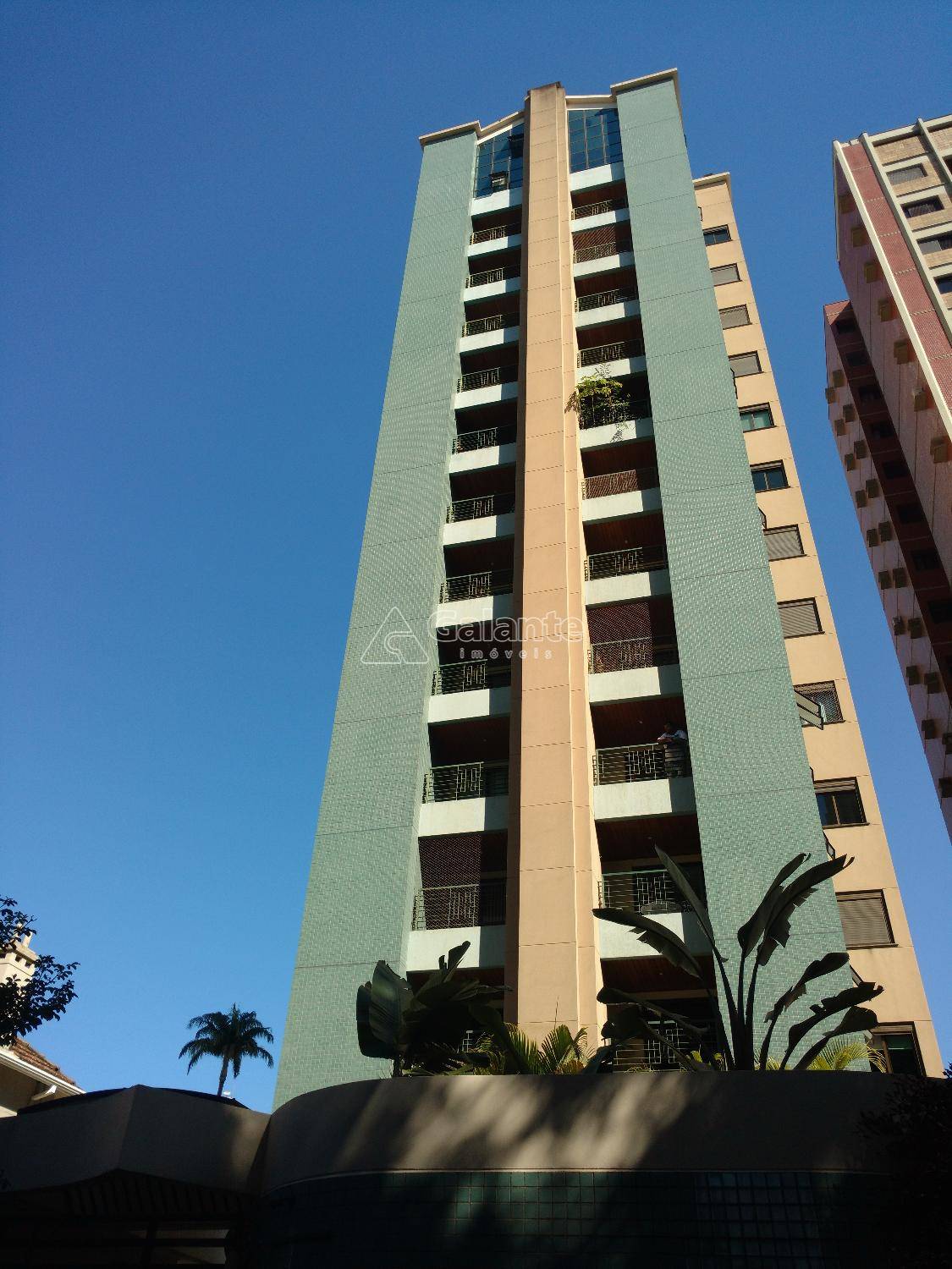 Apartamento em Cambuí, Campinas - Apartamento - Cambuí - Foto 1