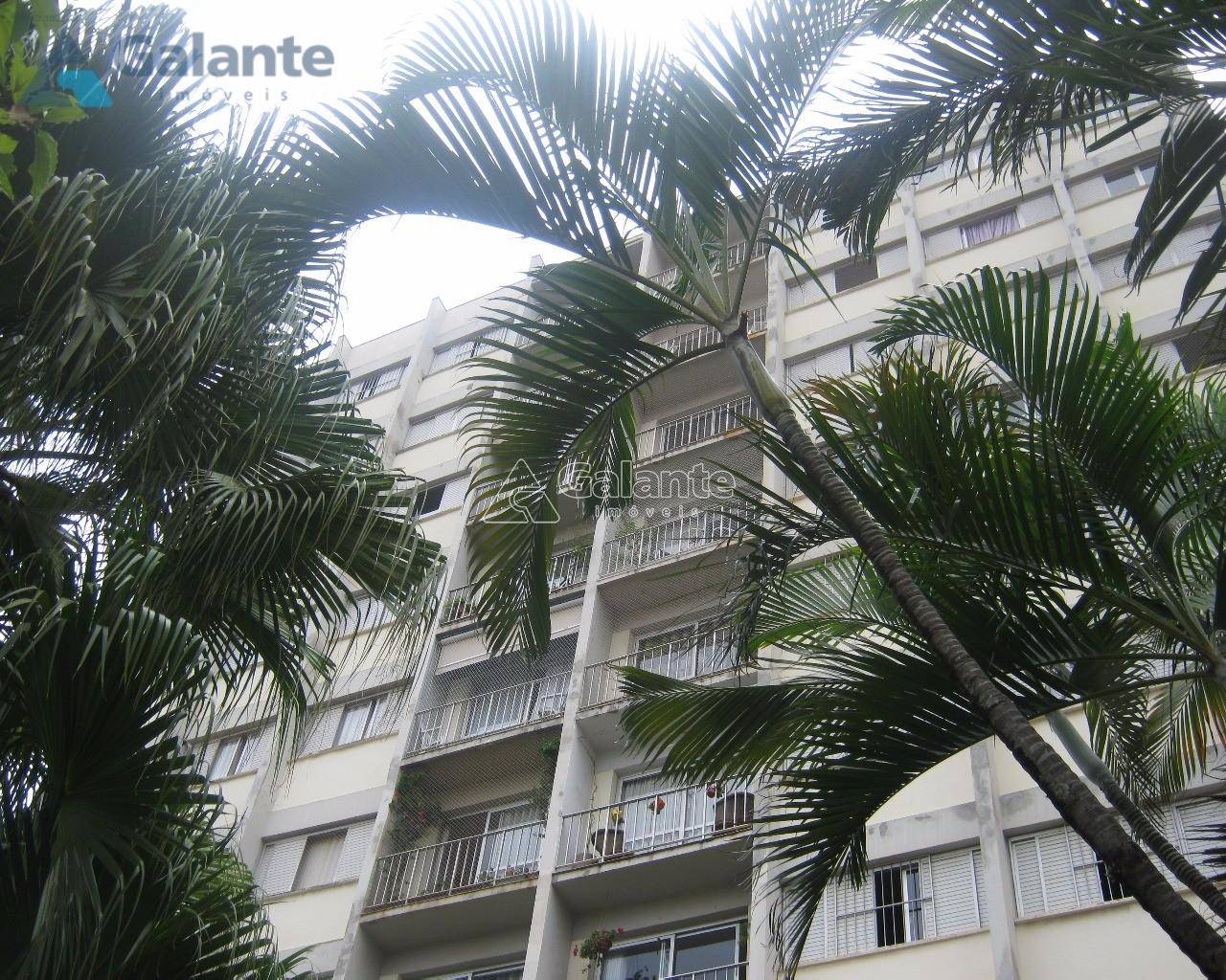 Apartamento em Vila Estanislau, Campinas - Apartamento - Vila Estanislau - Foto 1