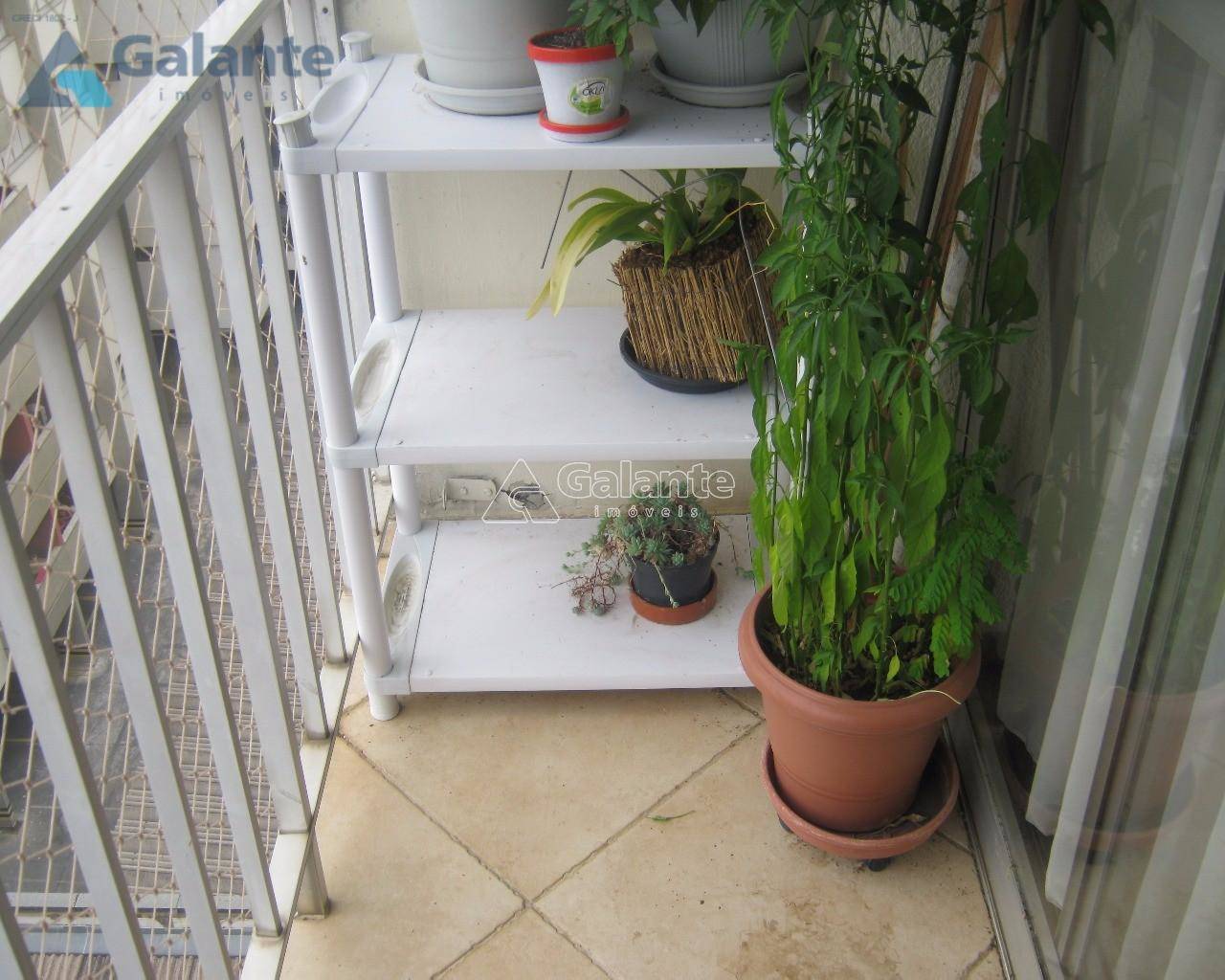 Apartamento em Vila Estanislau, Campinas - Apartamento - Vila Estanislau - Foto 8