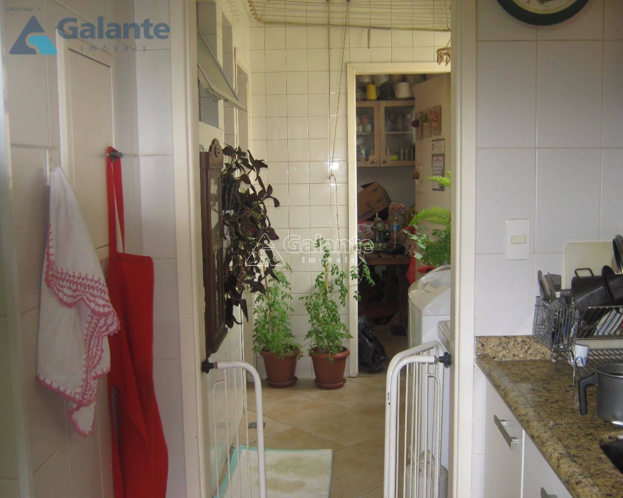 Apartamento em Vila Estanislau, Campinas - Apartamento - Vila Estanislau - Foto 7