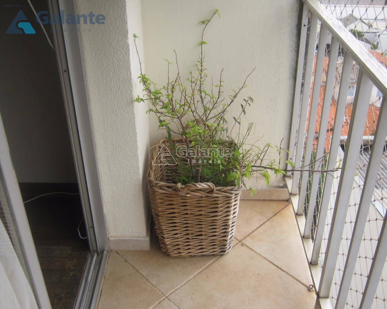 Apartamento em Vila Estanislau, Campinas - Apartamento - Vila Estanislau - Foto 11
