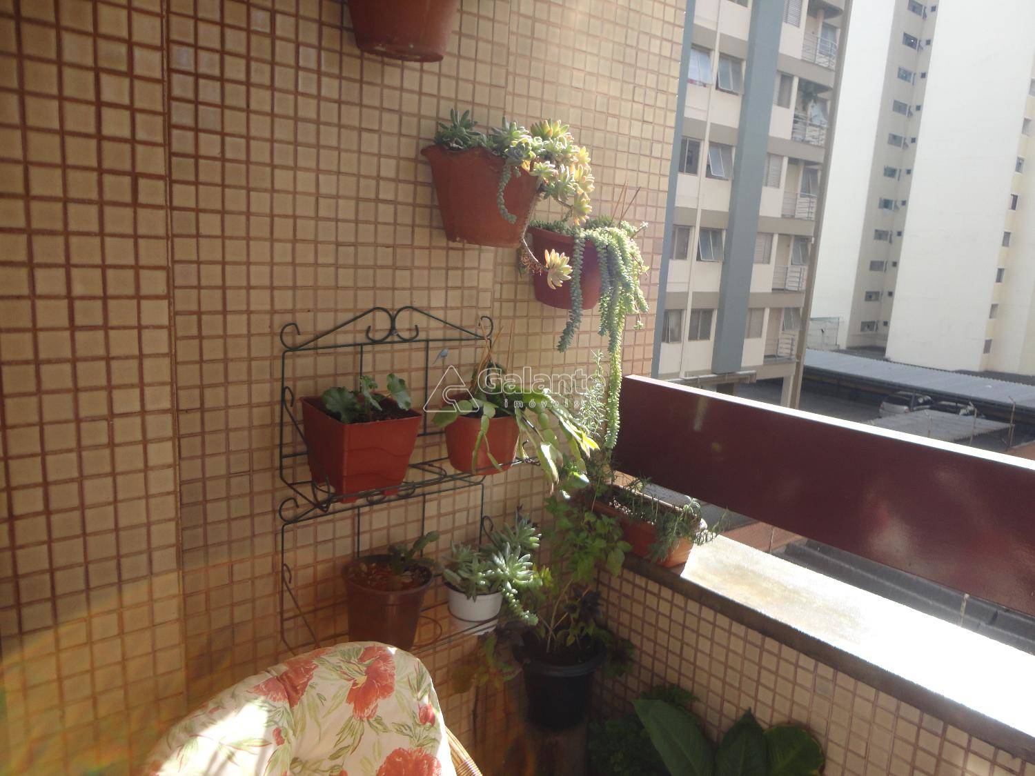 Apartamento no Centro, Campinas - Foto 6