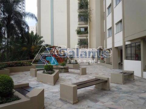 Apartamento em Jardim Proença, Campinas - Apartamento - Jardim Proença - Foto 8