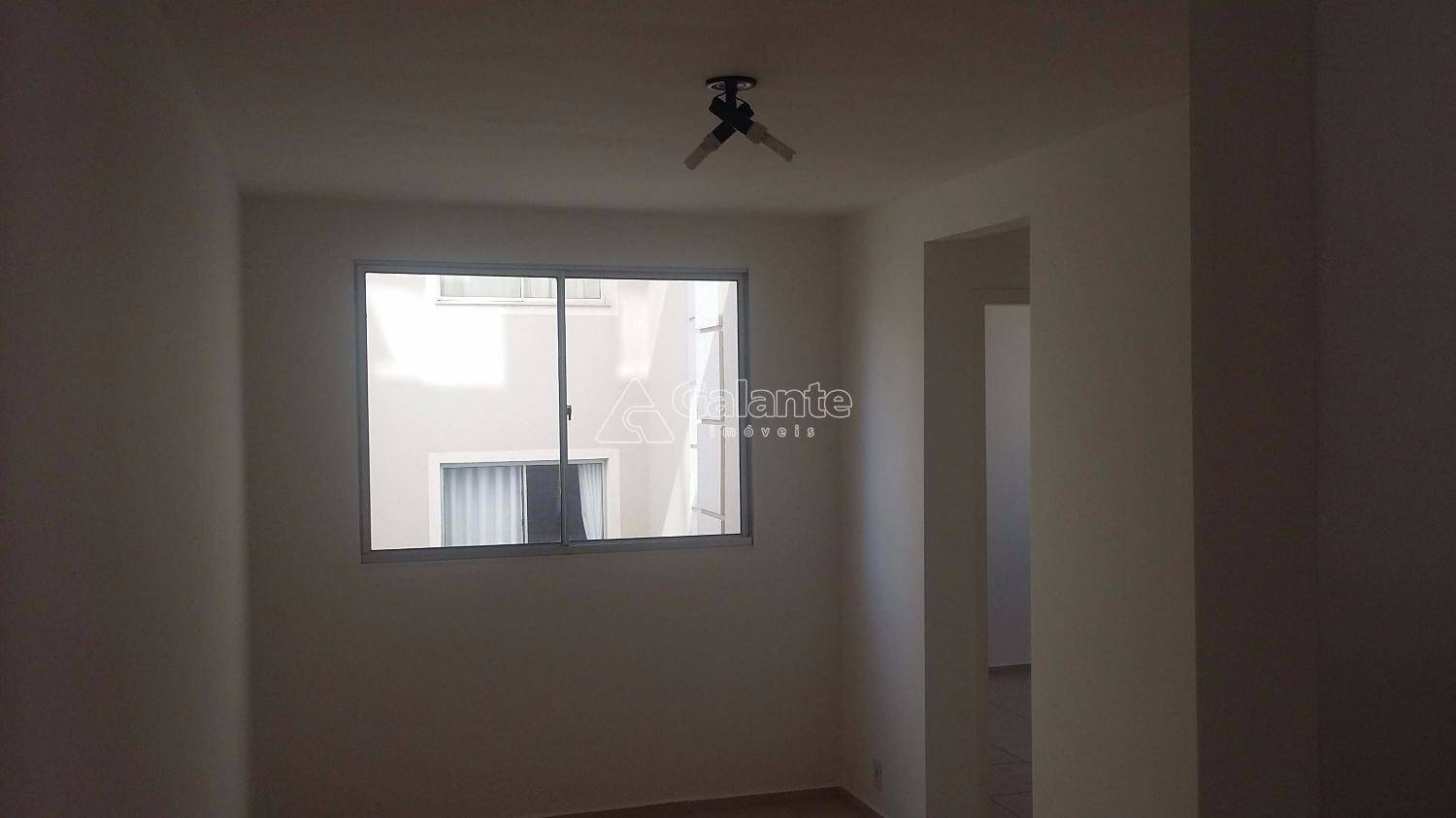 Apartamento em Jardim Nova Europa, Campinas - Apartamento - Jardim Nova Europa - Foto 13