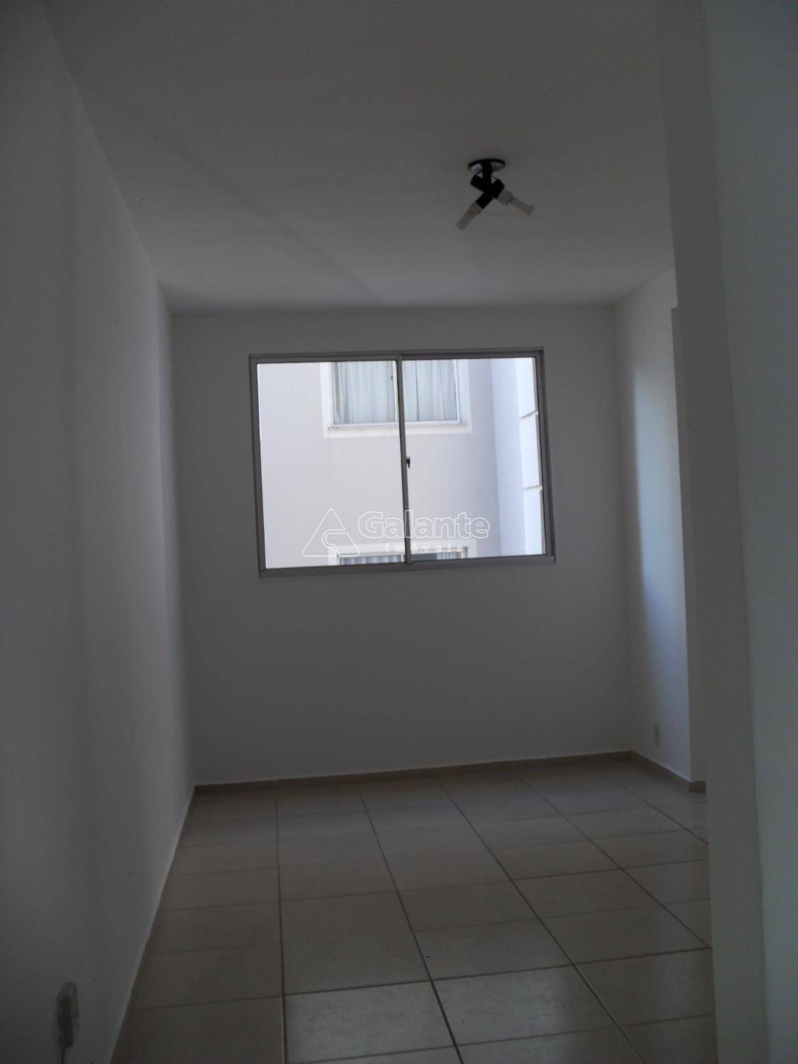 Apartamento em Jardim Nova Europa, Campinas - Apartamento - Jardim Nova Europa - Foto 7
