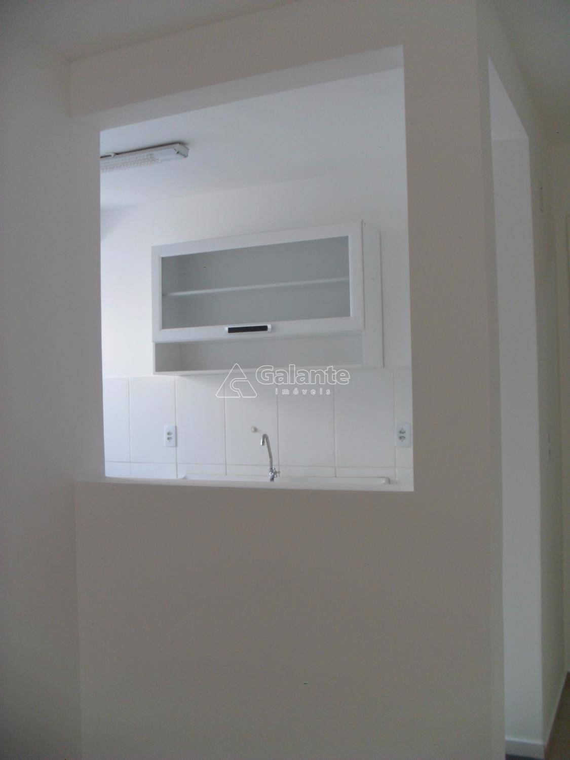 Apartamento em Jardim Nova Europa, Campinas - Apartamento - Jardim Nova Europa - Foto 12