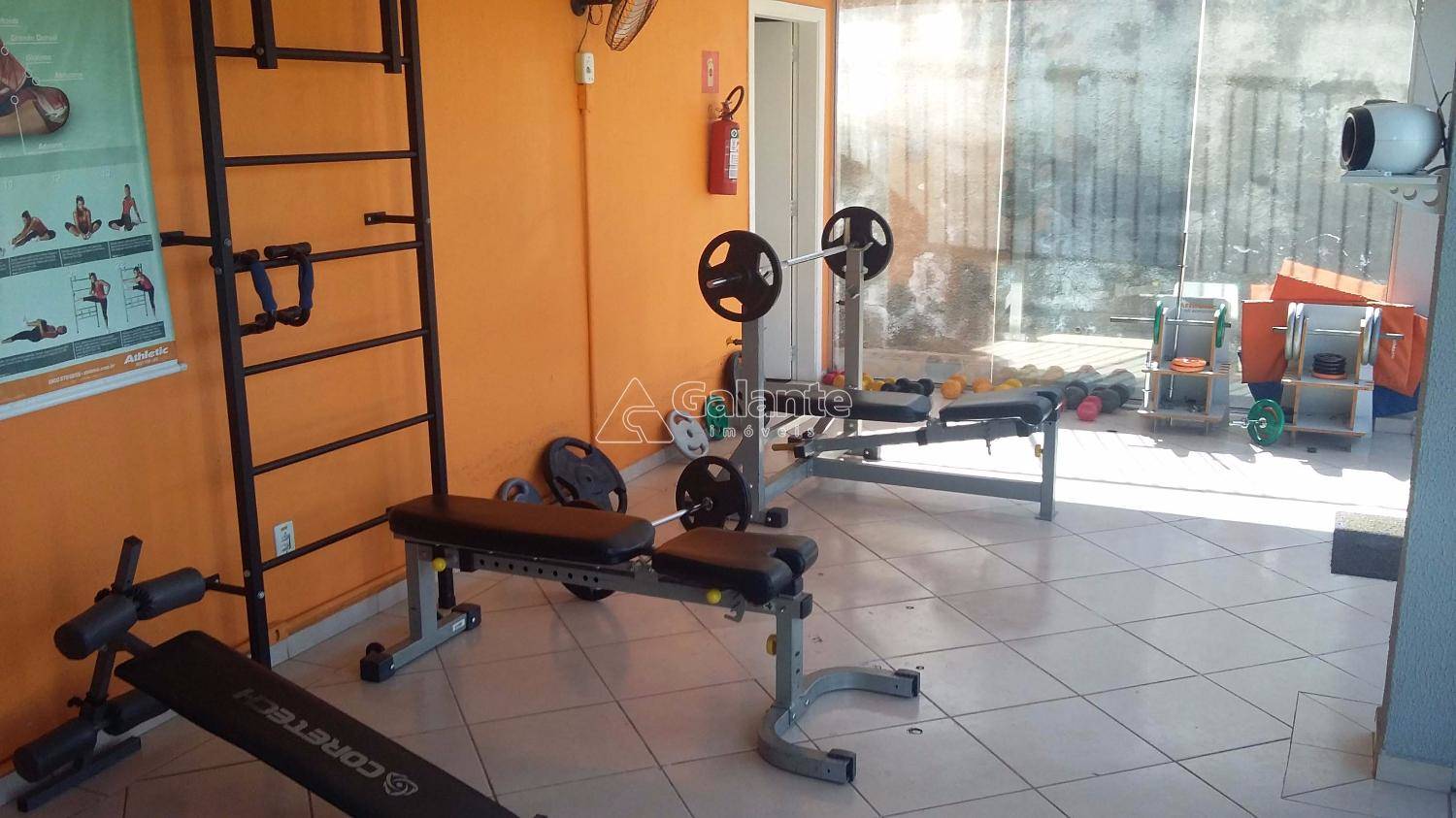 Apartamento em Jardim Nova Europa, Campinas - Apartamento - Jardim Nova Europa - Foto 14