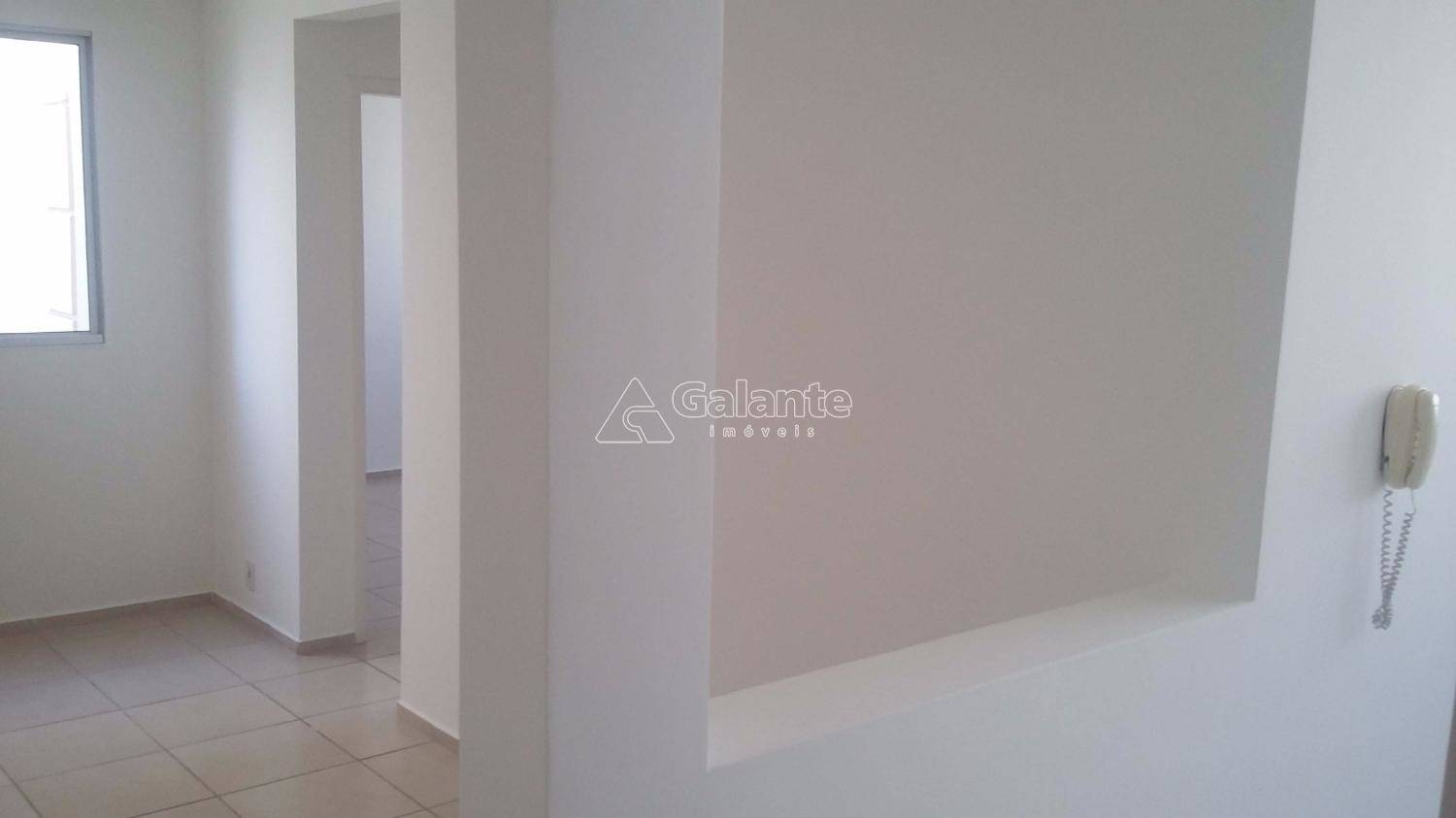 Apartamento em Jardim Nova Europa, Campinas - Apartamento - Jardim Nova Europa - Foto 20