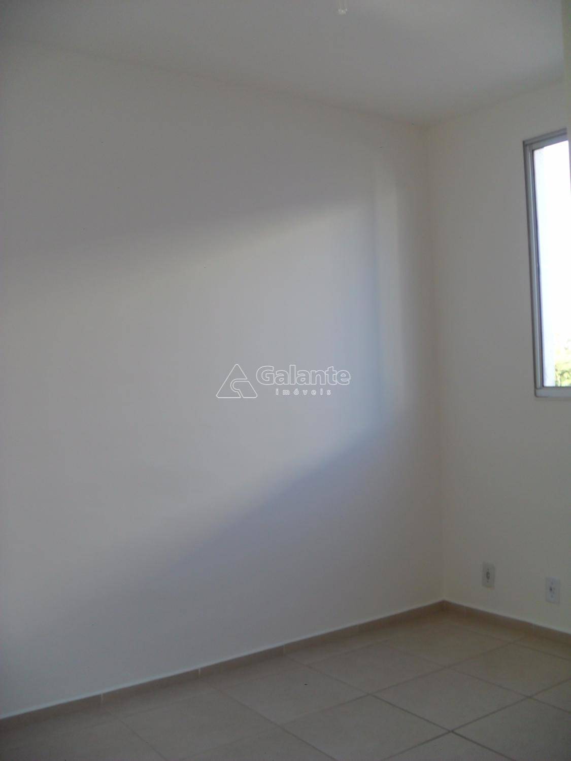 Apartamento em Jardim Nova Europa, Campinas - Apartamento - Jardim Nova Europa - Foto 9
