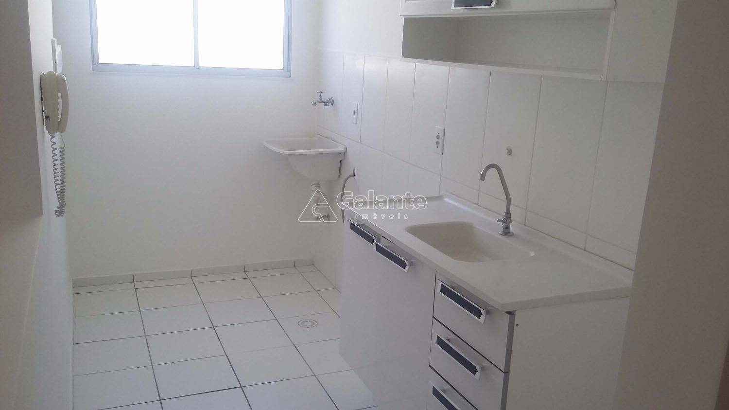 Apartamento em Jardim Nova Europa, Campinas - Apartamento - Jardim Nova Europa - Foto 16