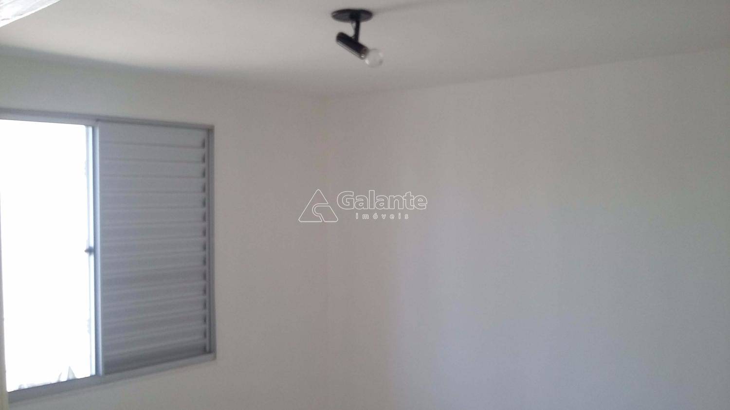 Apartamento em Jardim Nova Europa, Campinas - Apartamento - Jardim Nova Europa - Foto 3