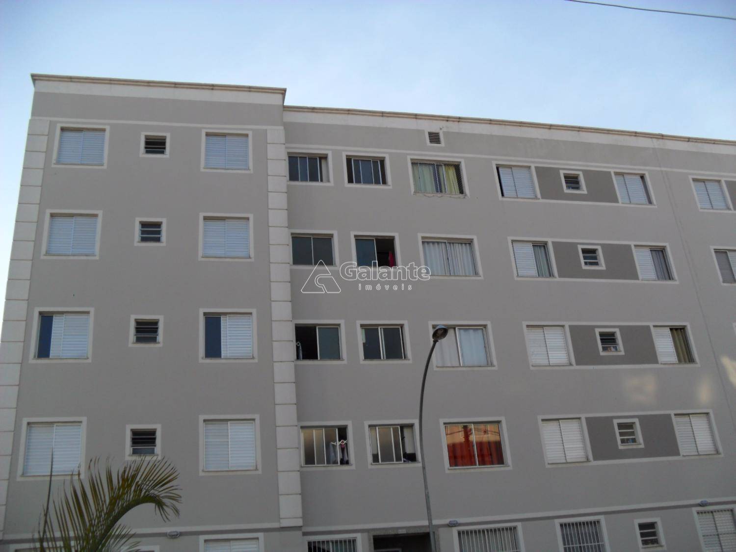 Apartamento em Jardim Nova Europa, Campinas - Apartamento - Jardim Nova Europa - Foto 17