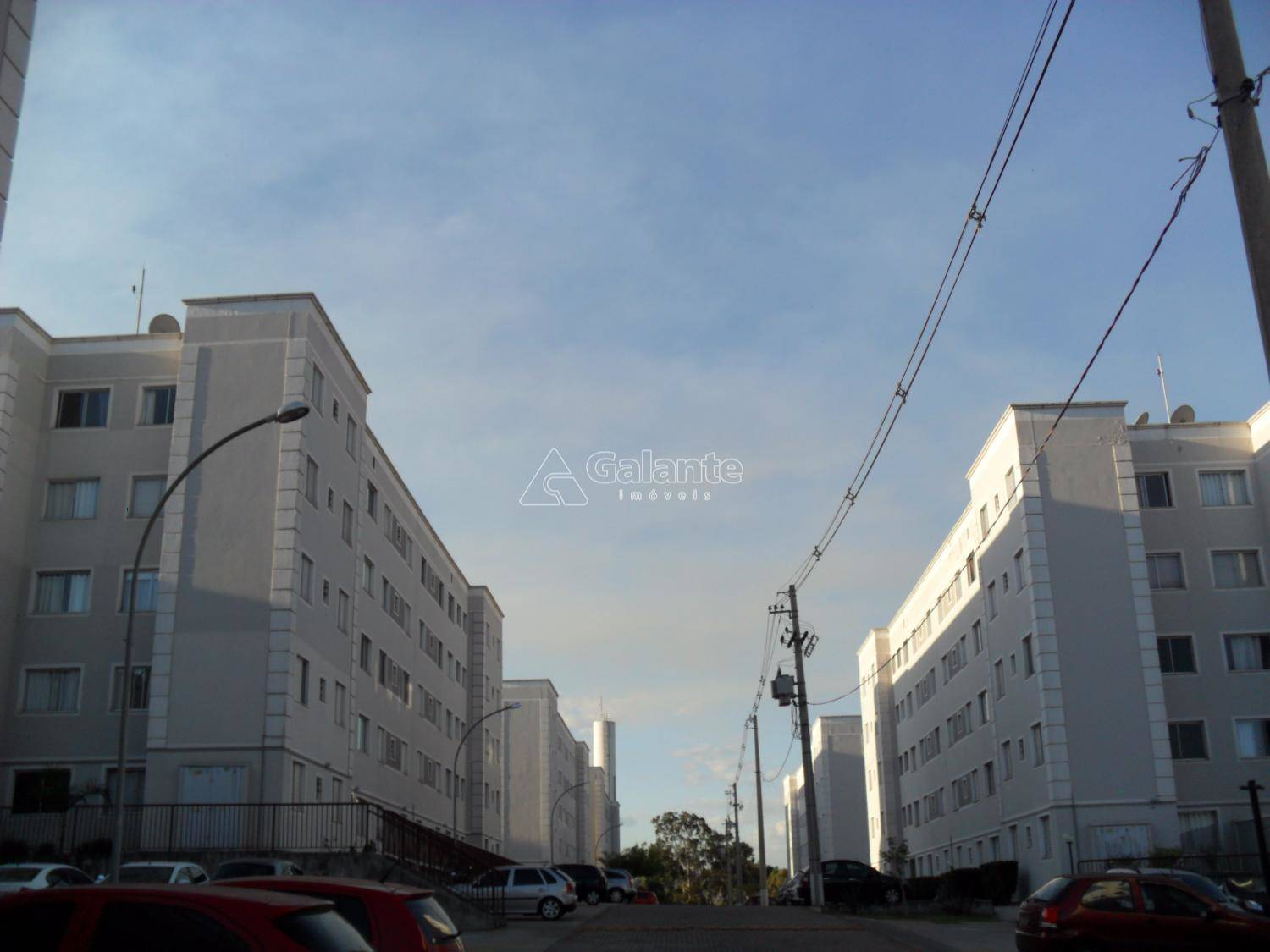 Apartamento em Jardim Nova Europa, Campinas - Apartamento - Jardim Nova Europa - Foto 23