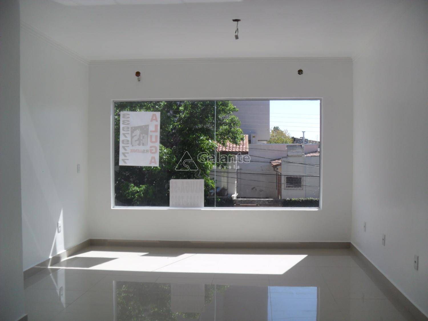 Comercial/Industrial em Taquaral, Campinas - Comercial/Industrial - Taquaral - Foto 13
