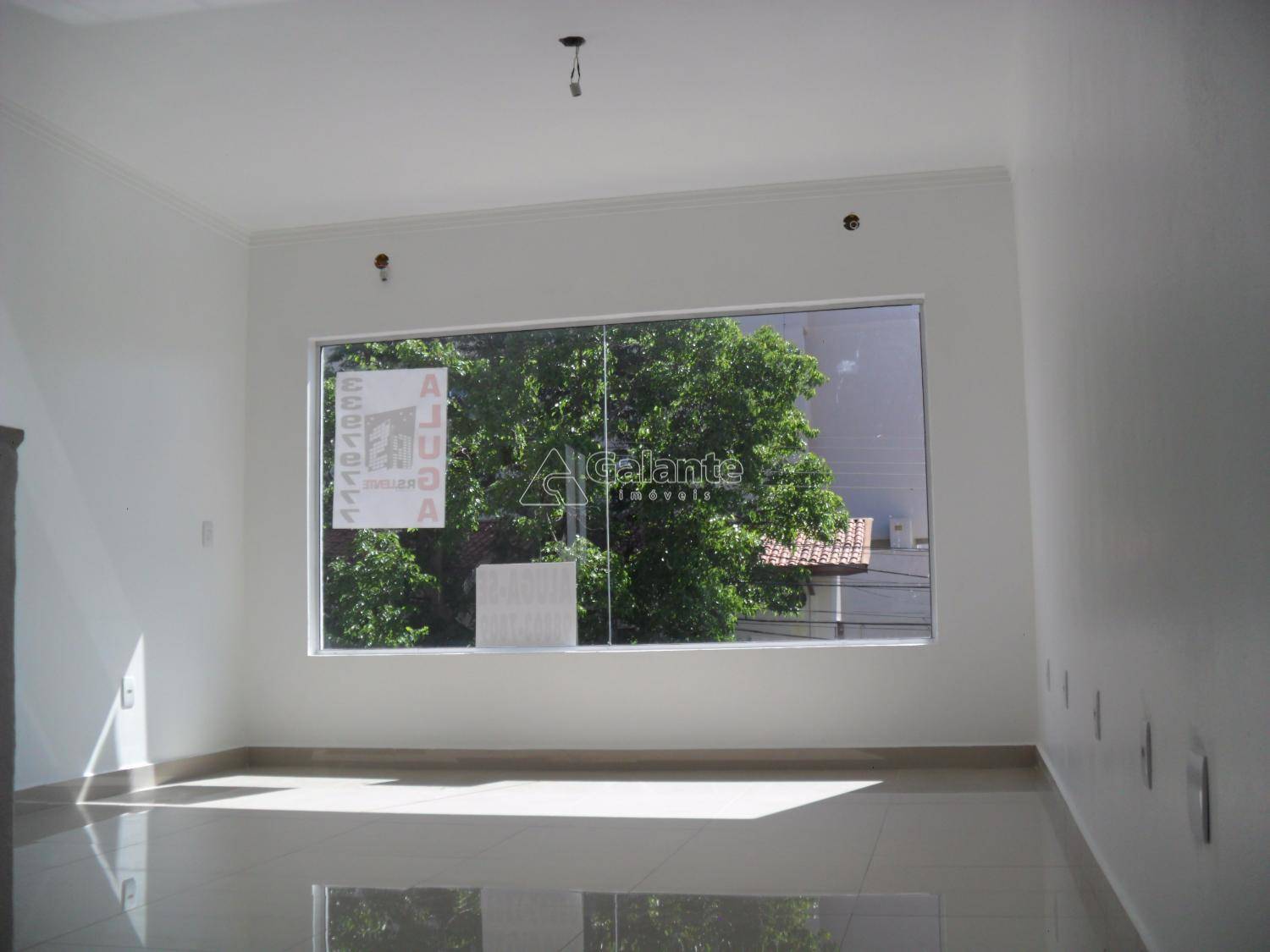 Comercial/Industrial em Taquaral, Campinas - Comercial/Industrial - Taquaral - Foto 4