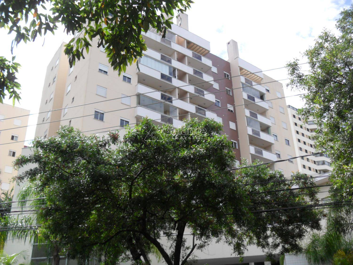 Apartamento em Parque Prado, Campinas - Apartamento - Parque Prado - Foto 1