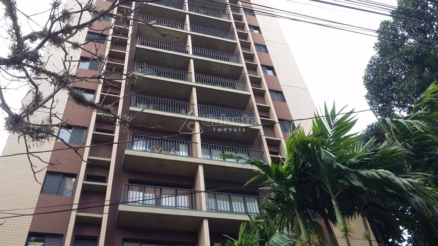 Apartamento em Cambuí, Campinas - Apartamento - Cambuí - Foto 1