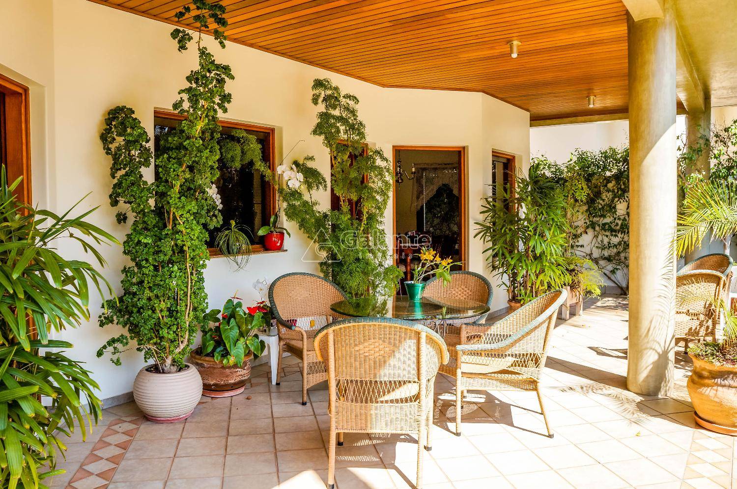 Casa em Jardim Conceição, Campinas - Casa - Jardim Conceição - Foto 4