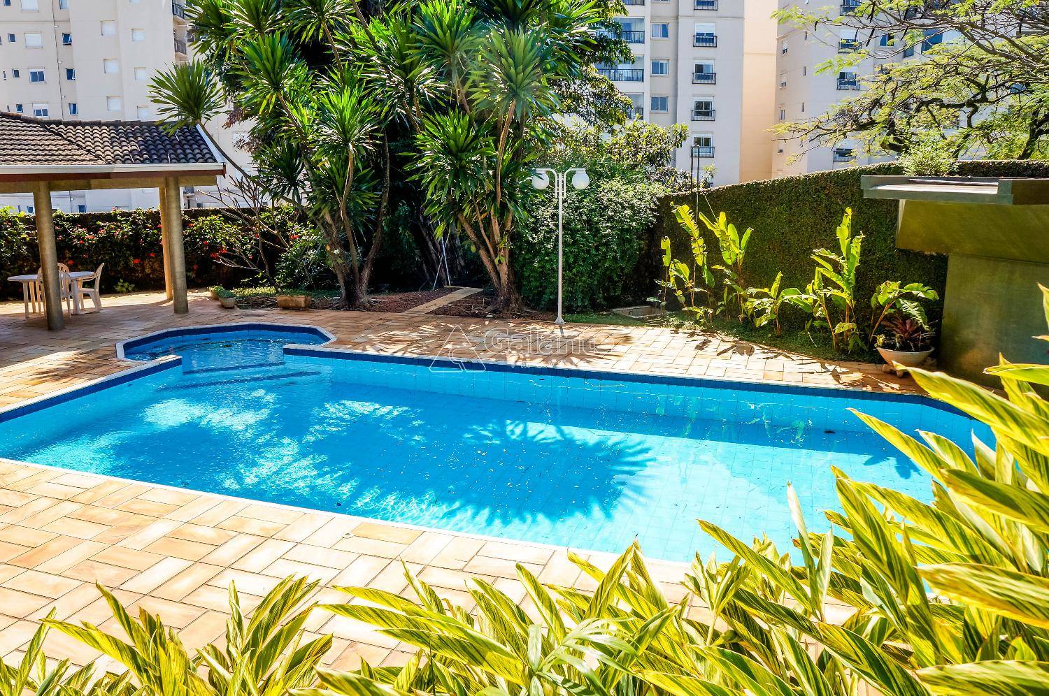 Casa em Jardim Conceição, Campinas - Casa - Jardim Conceição - Foto 47