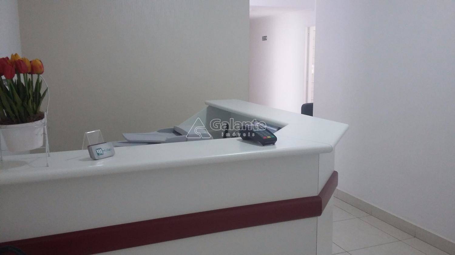 Comercial/Industrial em Vila Itapura, Campinas - Comercial/Industrial - Vila Itapura - Foto 2
