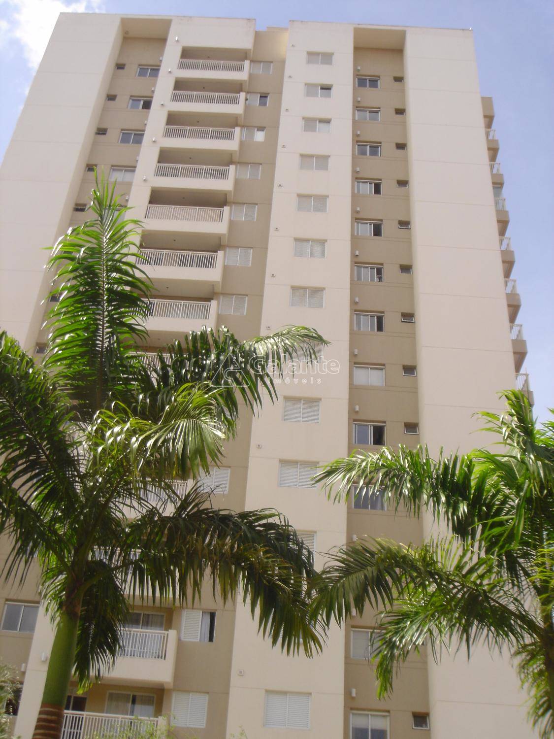 Apartamento em Centro, Campinas - Apartamento - Centro - Foto 30