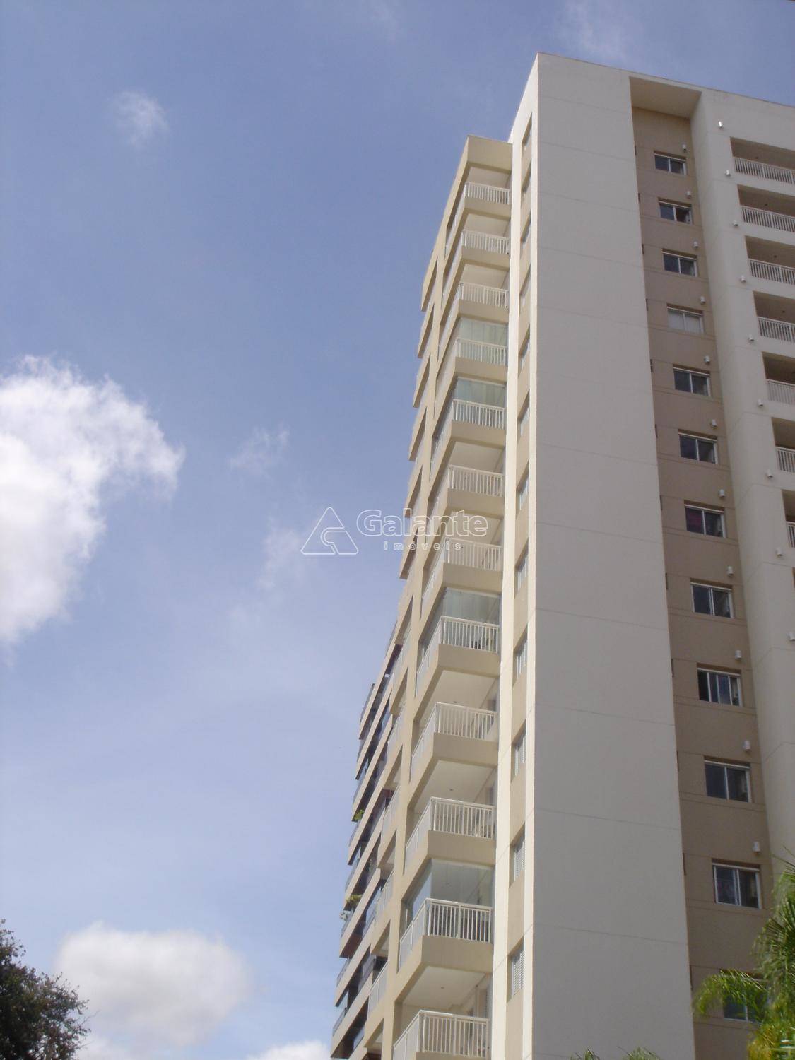 Apartamento em Centro, Campinas - Apartamento - Centro - Foto 6
