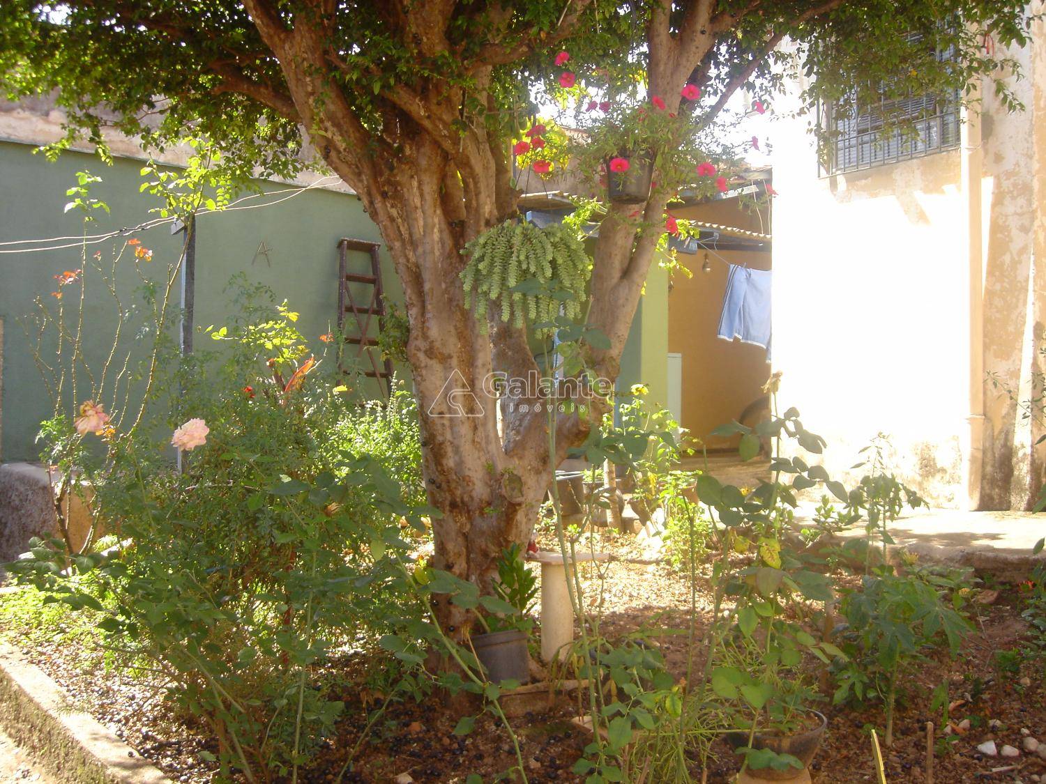 Casa em Chácara da Barra, Campinas - Casa - Chácara da Barra - Foto 4