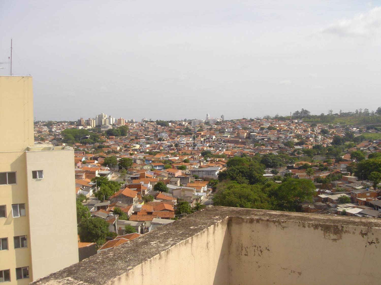 Apartamento em Jardim Santa Eudóxia, Campinas - Apartamento - Jardim Santa Eudóxia - Foto 2