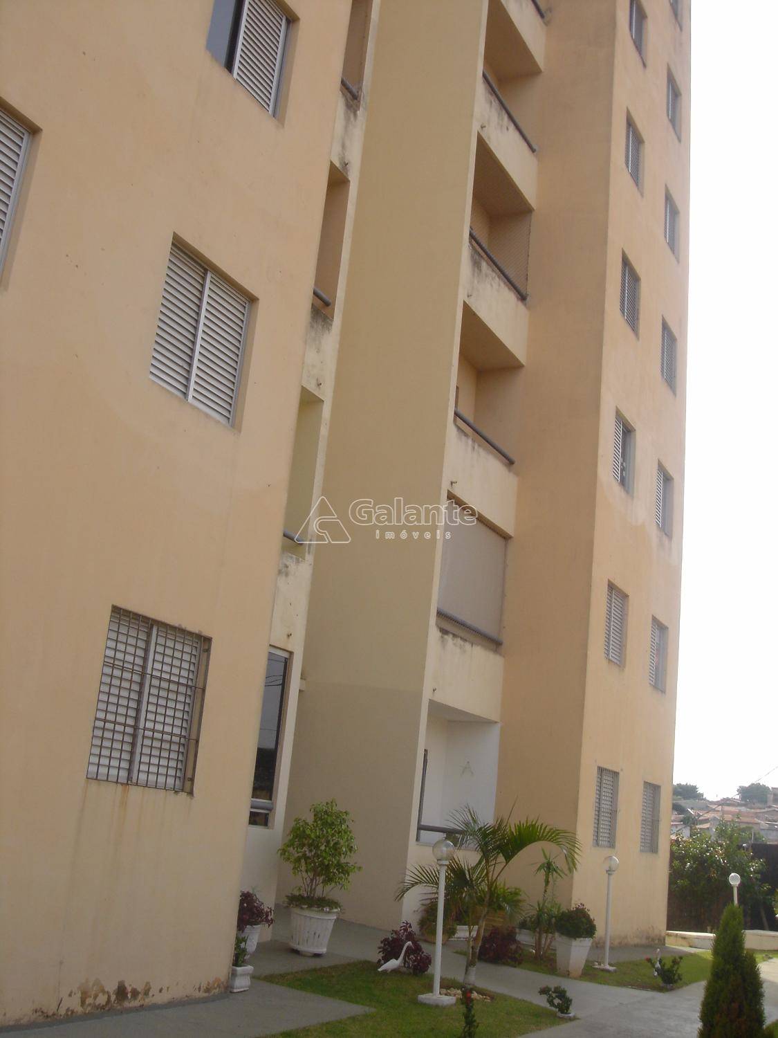 Apartamento em Jardim Santa Eudóxia, Campinas - Apartamento - Jardim Santa Eudóxia - Foto 3