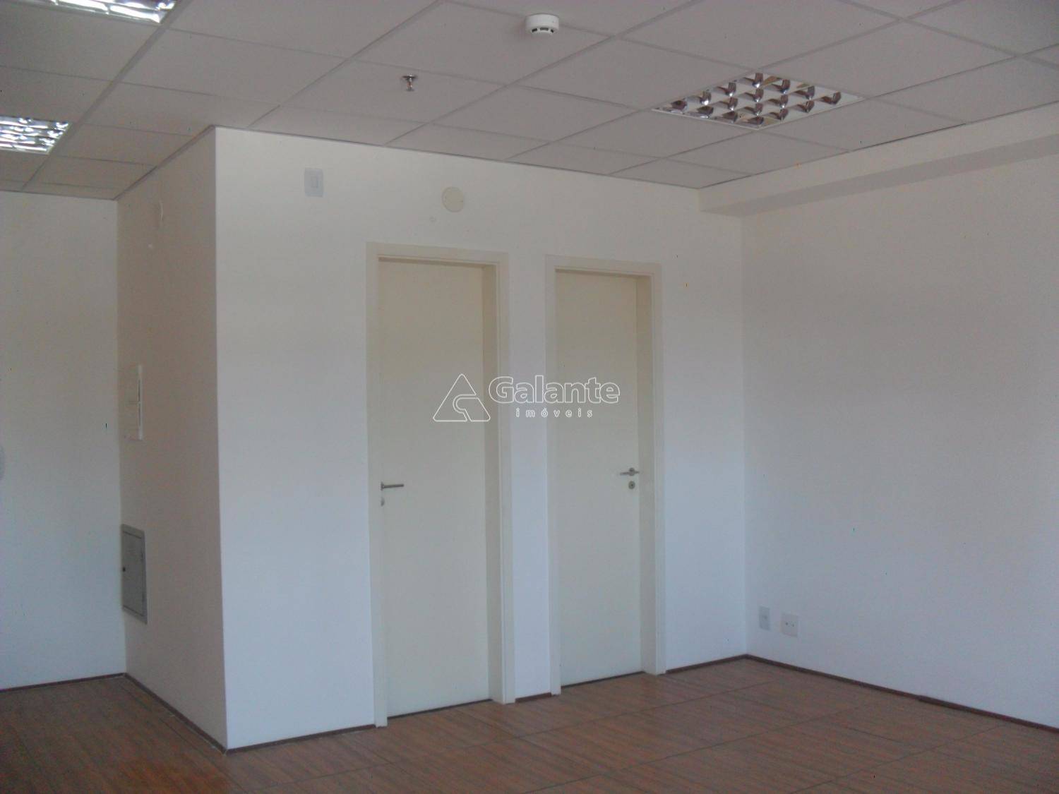 Comercial/Industrial em Cambuí, Campinas - Comercial/Industrial - Cambuí - Foto 7