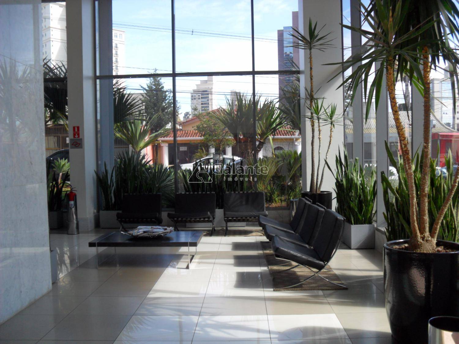 Comercial/Industrial em Cambuí, Campinas - Comercial/Industrial - Cambuí - Foto 5