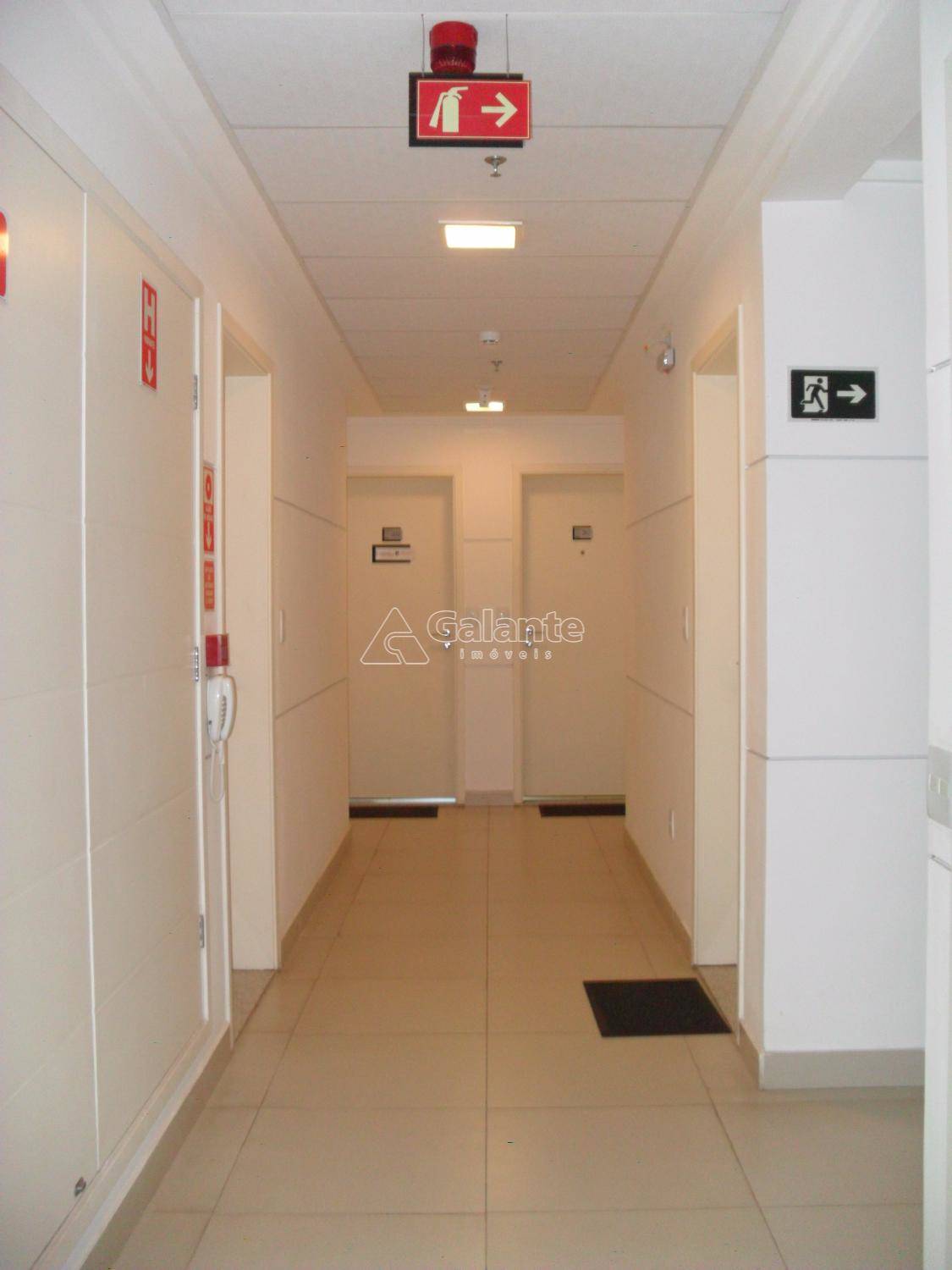 Comercial/Industrial em Cambuí, Campinas - Comercial/Industrial - Cambuí - Foto 10