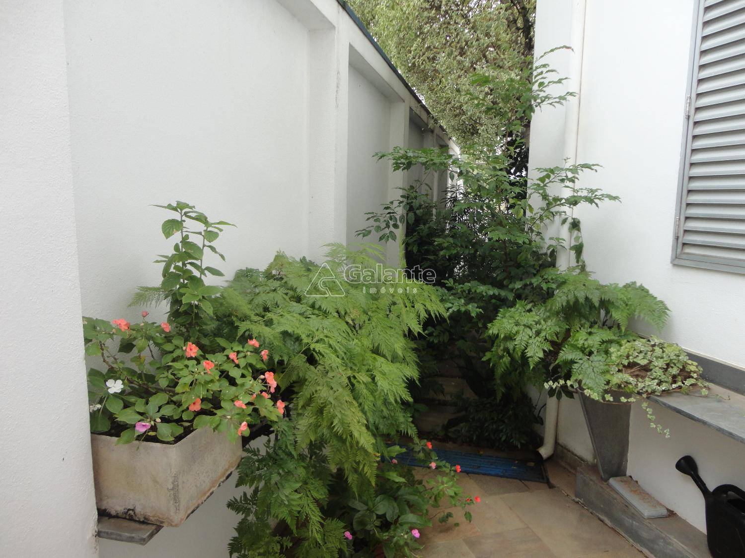 Casa em Nova Campinas, Campinas - Casa - Nova Campinas - Foto 3