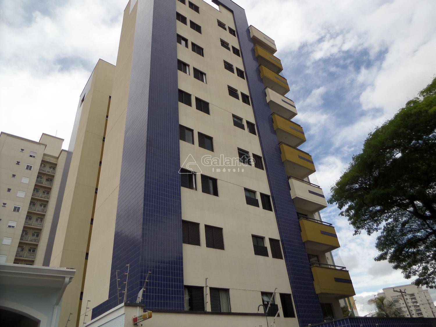 Apartamento em Vila Itapura, Campinas - Apartamento - Vila Itapura - Foto 1