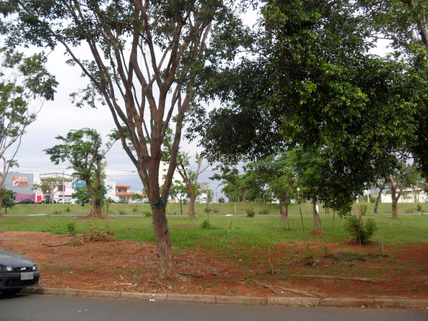 Comercial/Industrial em Parque Taquaral, Campinas - Comercial/Industrial - Parque Taquaral - Foto 14